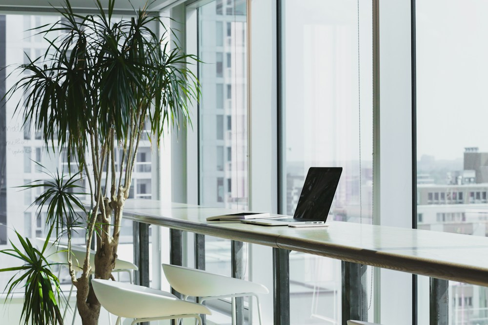 An open, sunlit workspace